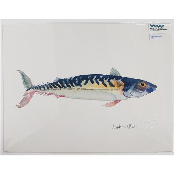 salmon-by-barbara-allen