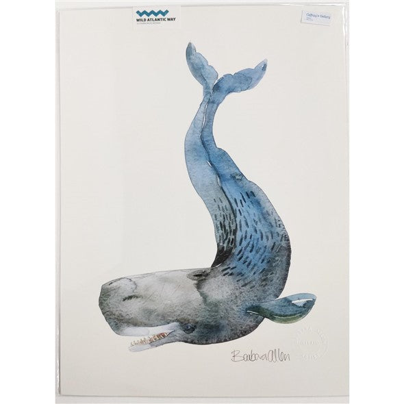 whale-by-barbara-allen