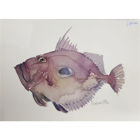 flat-fish-by-barbara-allen