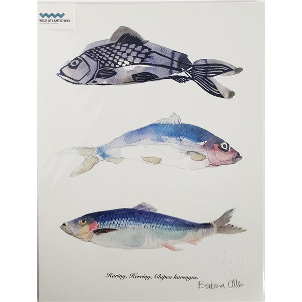 the-three-fish-by-barbara-allen