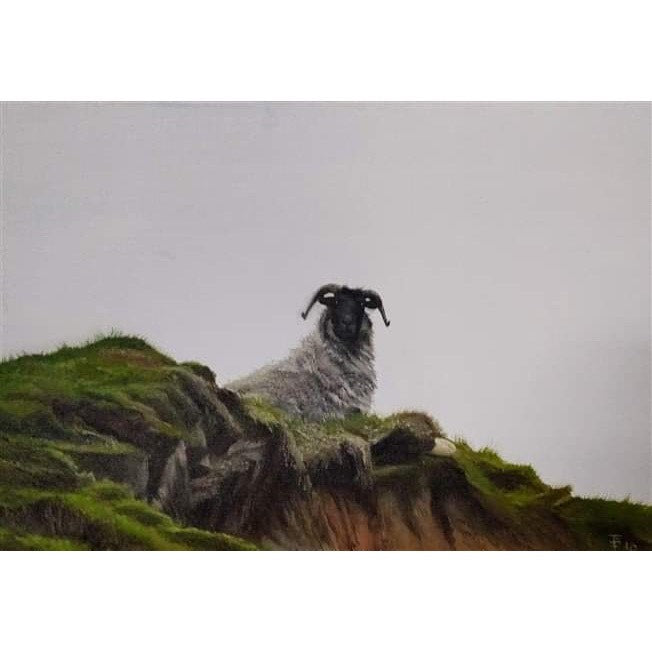 king-of-the-hill