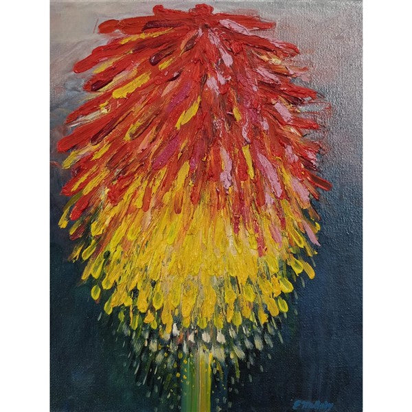 red-hot-poker-series-ii-by-eamonn-mullarkey