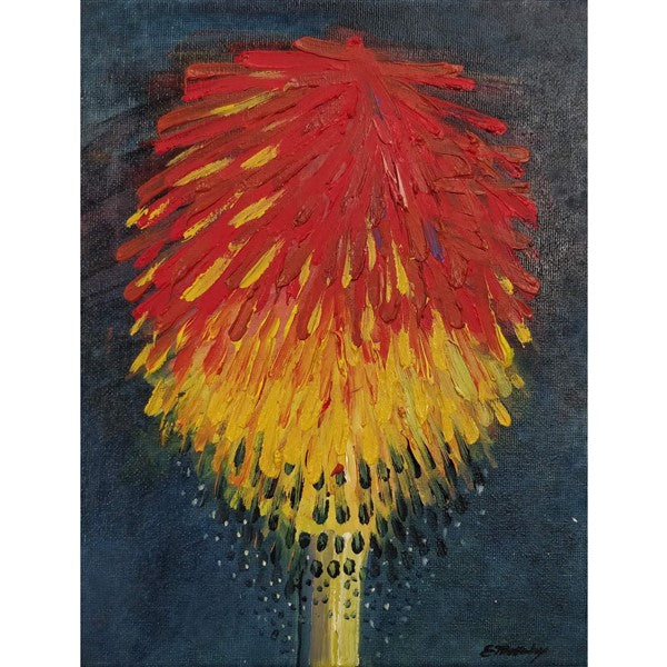 red-hot-poker-series-i-by-eamonn-mullarkey