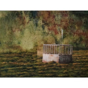 western-pastures-by-michael-coleman