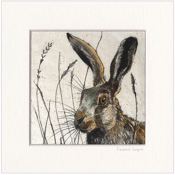 hare-framed-print-by-annabel-langrish