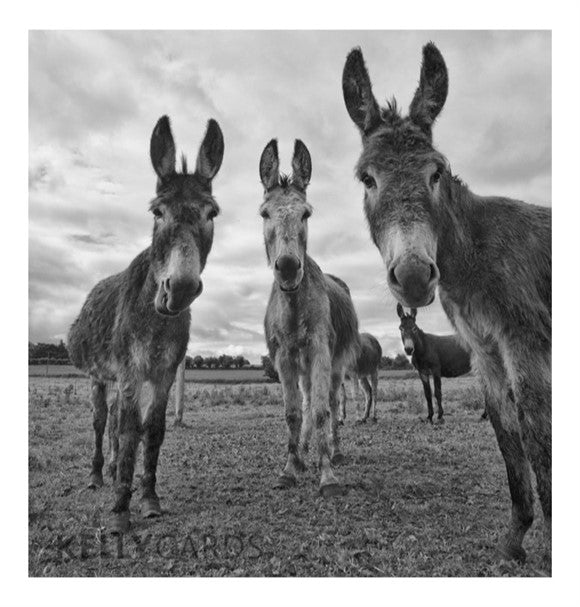 were-all-ears-by-kelly-cards