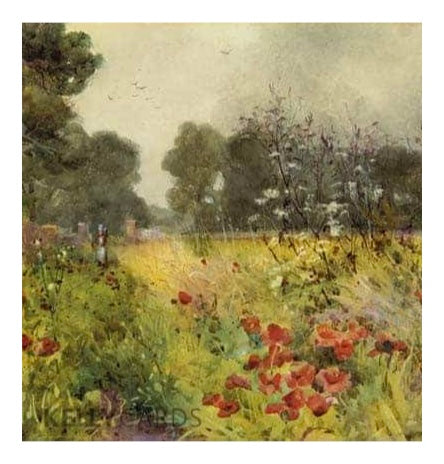 poppy-land-by-kelly-cards
