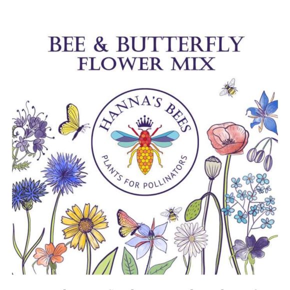 bee-butterfly-flower-6g-hannas-bees