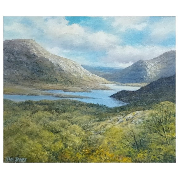 connemara-by-liam-jones