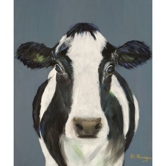 black-white-cow-ashling-flanaghan