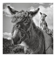 are-we-there-yet-by-kelly-cards