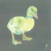 deary-darlin-ducky-by-lorraine-fletcher