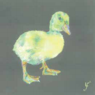 deary-darlin-ducky-by-lorraine-fletcher