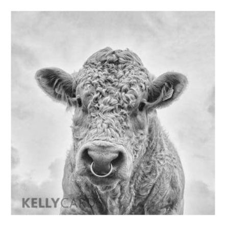 bullocks-by-kelly-cards