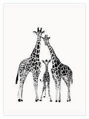 giraffe-family