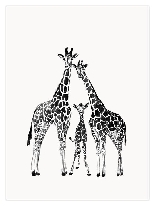 giraffe-family