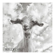 happy-baa-day-by-kelly-cards