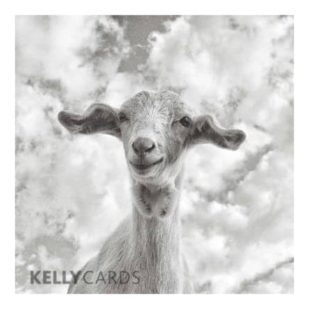 happy-baa-day-by-kelly-cards