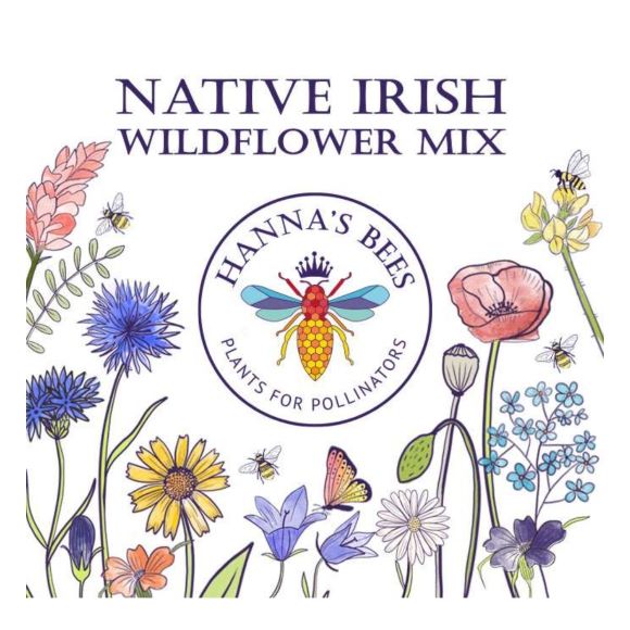native-irish-wildflower-6g-hannas-bees