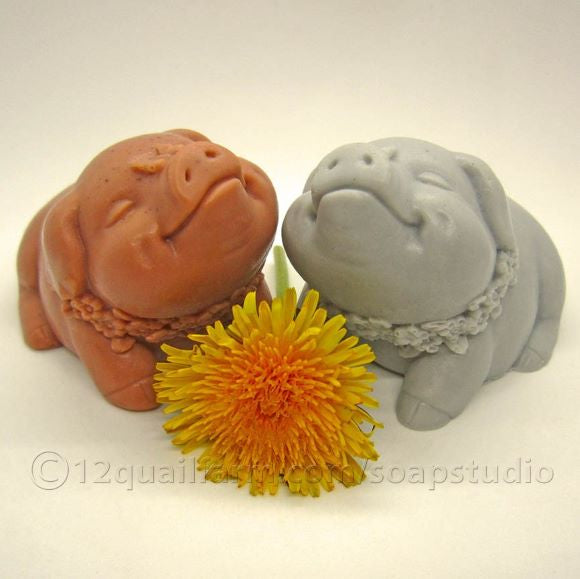 pair-pigs-hazelgrey-12-quail-farm
