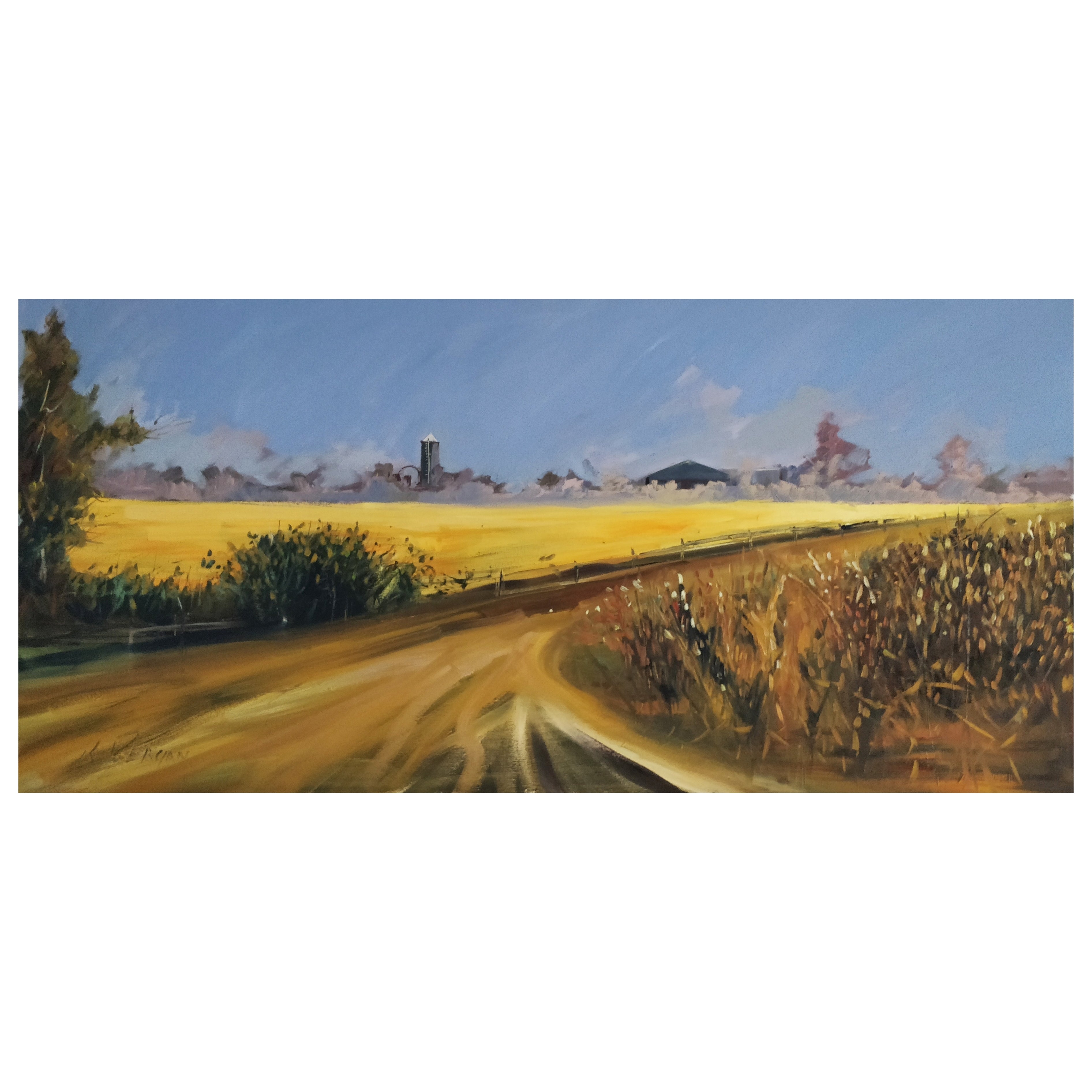 rape-seed-field-ardee