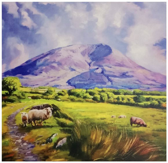 sheep-grazing-near-nephin-mountain-by-conor-mcguire