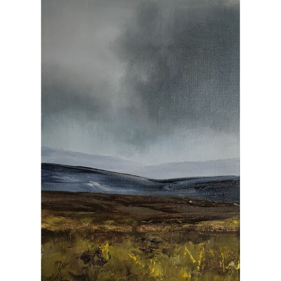 soft-day-north-mayo-bog-eoin-lane