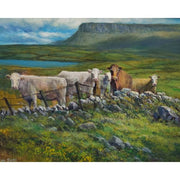 benbulben-by-liam-jones