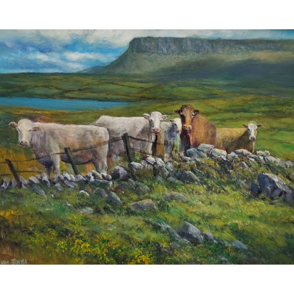 benbulben-by-liam-jones