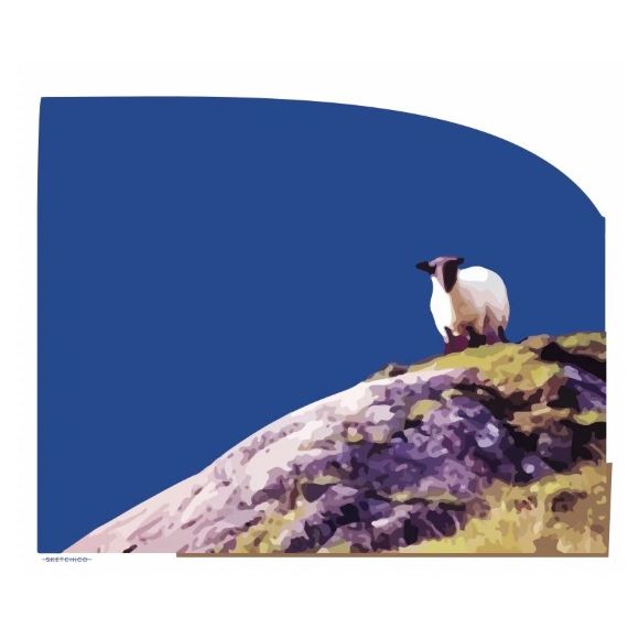 mayo-mountain-sheep10x12-sketchico