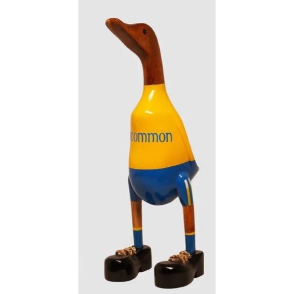 roscommon-duck-by-lucky-ducks