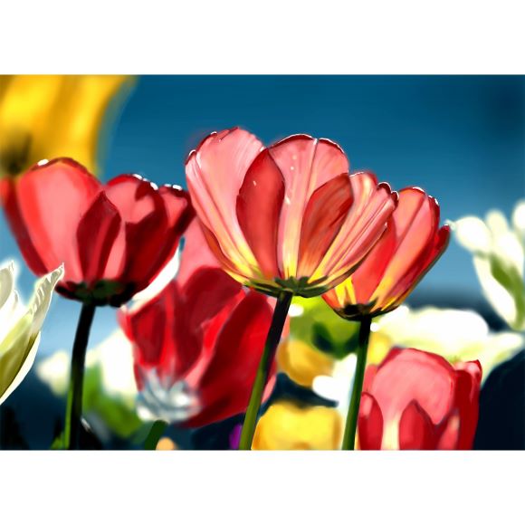 tulips-by-patrick-dunne