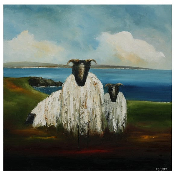 wild-atlantic-sheep-by-padraig-mccaul